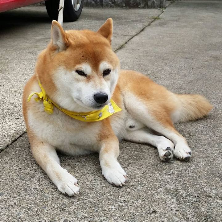 Ab768245 930b 46c7 b59f 0f576441e388