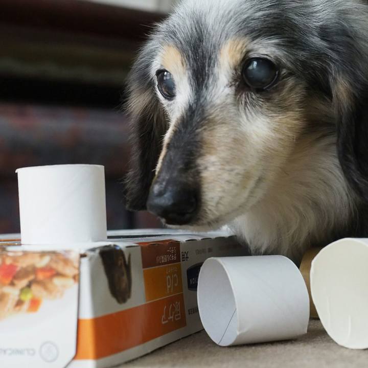 Ab777f0f 8f06 4df6 a096 727479cc7a16