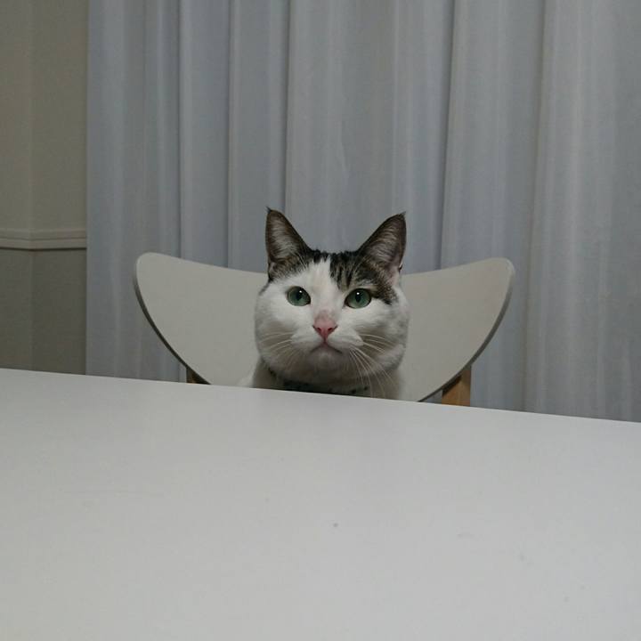 Ab787ccd 3f0d 47f0 8fb2 35a4e872df09