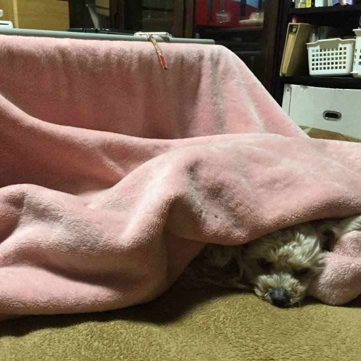 Ab78e7b9 e142 4c22 8efc cd967333983d