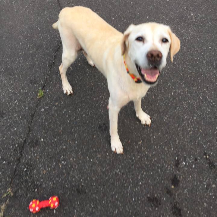 Ab78f1f5 1839 4202 b0c9 c947790ba464