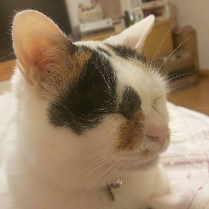 Ab78fc43 428d 4a0e 939e 457c537de8a4