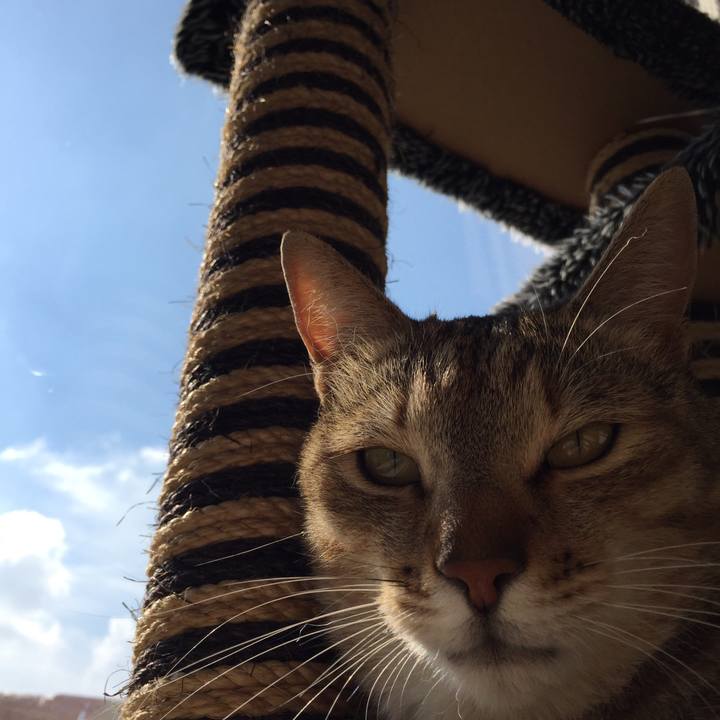 Ab792427 e39b 4257 a40a 3d047cfb51f7