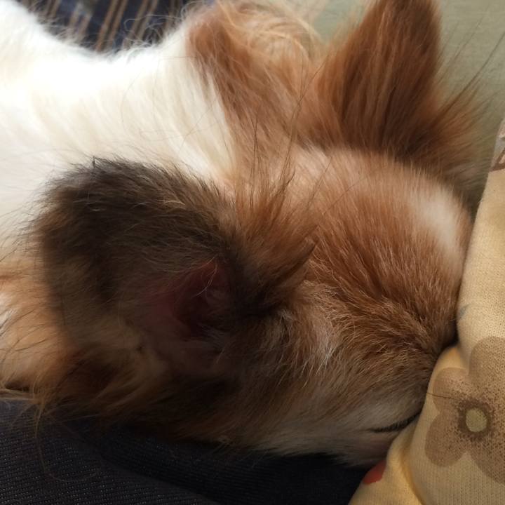 Ab793357 7eb6 447e 8478 57a11e053809