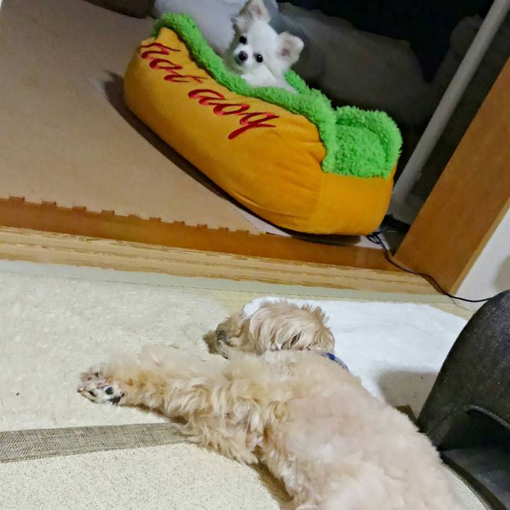 Ab7977c5 25bb 44e5 ba5a 50349f1a4965