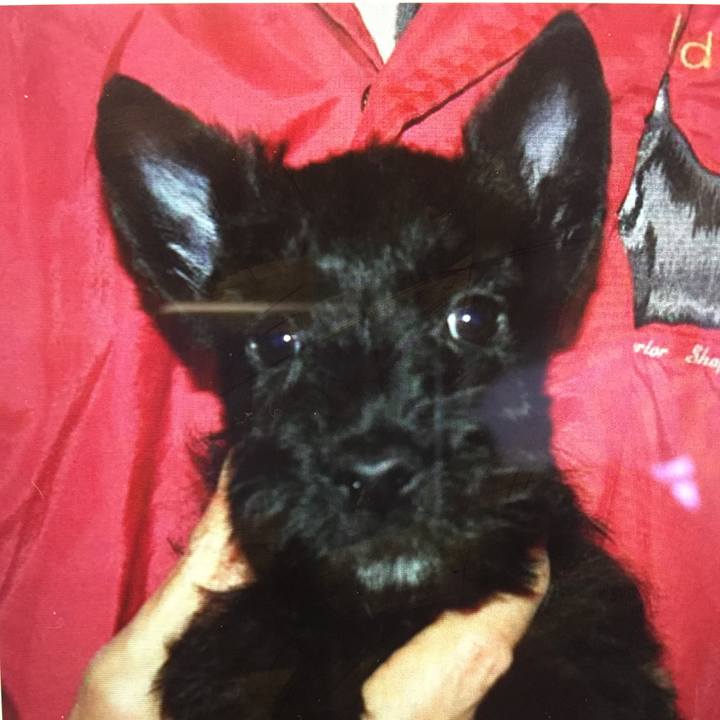 Ab7a6b15 b57b 4232 a509 0f4e10ebf020