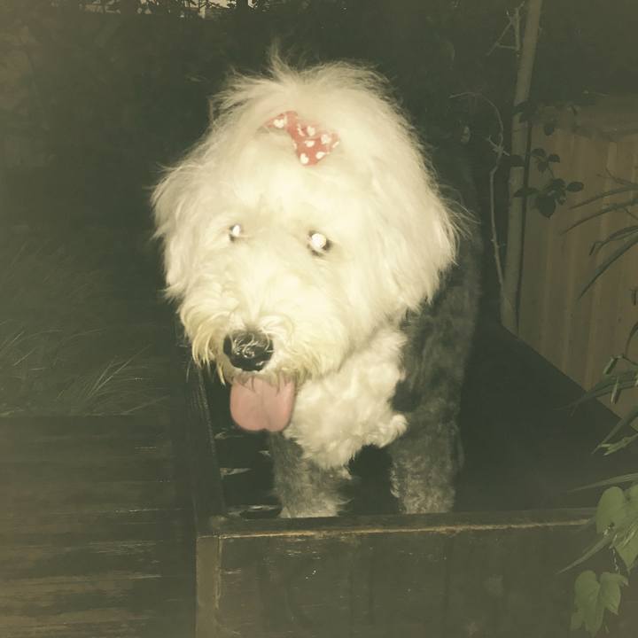 Ab7a6bbf ee29 4c41 9546 7049f3cf9e29