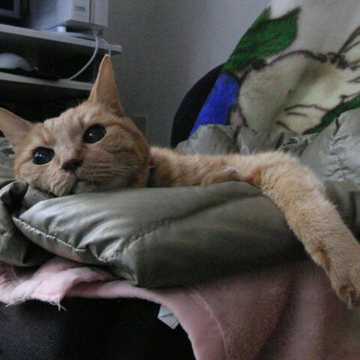 Ab7cb19a 87a2 47e6 8658 c78fec842b61