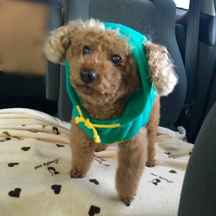 Ab7d9d16 fb7a 4671 99a5 e255df8d141e