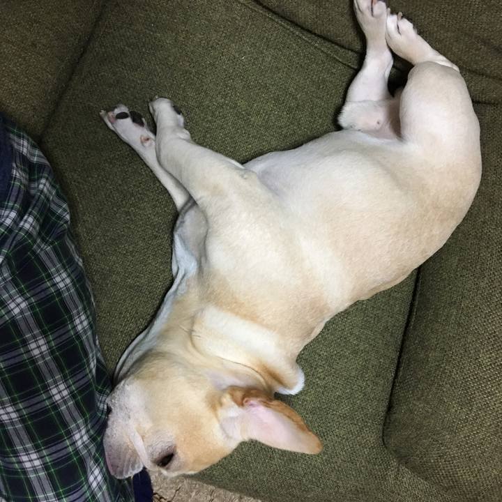 Ab7dab31 1f47 4a34 90d9 bfeb84f7c9cb