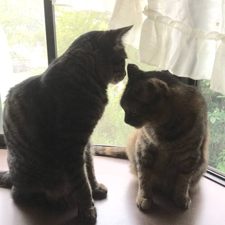 Ab7df179 22c5 4ac3 87b7 00c06148ab7e