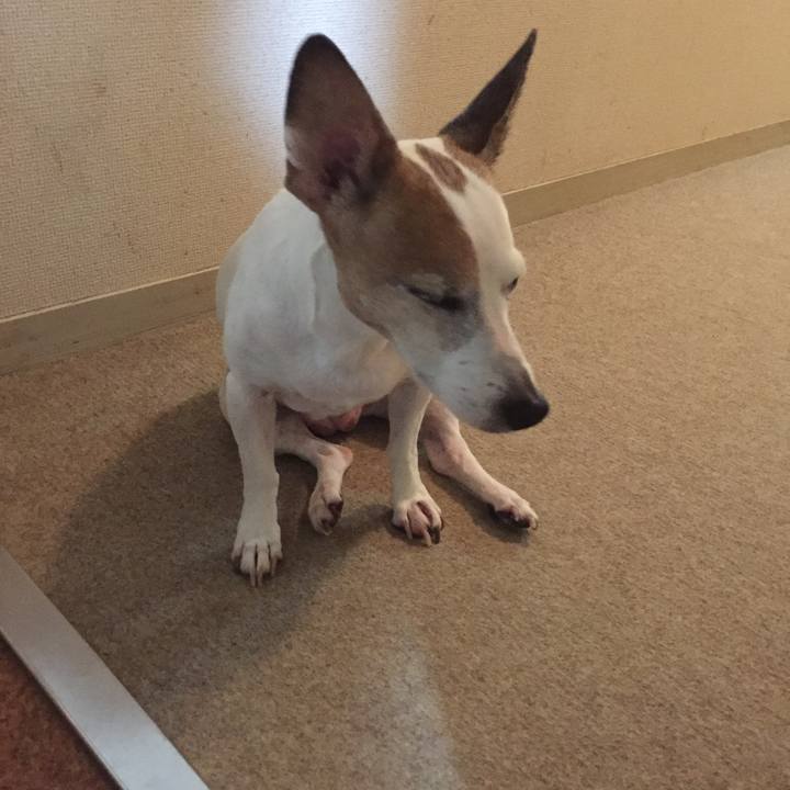 Ab7e3049 632c 4e2e ad3e 15c5f7450a68