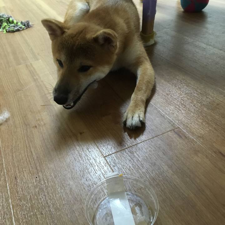 Ab7f13ab 34a4 41dc 85d7 86cd92e203d0