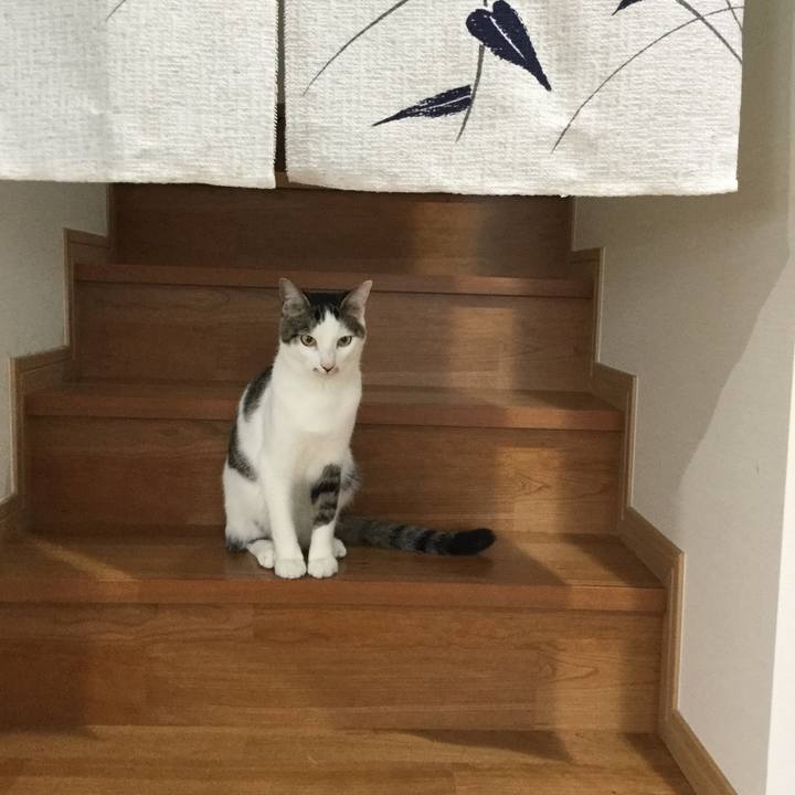 Ab7fb591 b8a9 42c3 9597 d2153855ca16