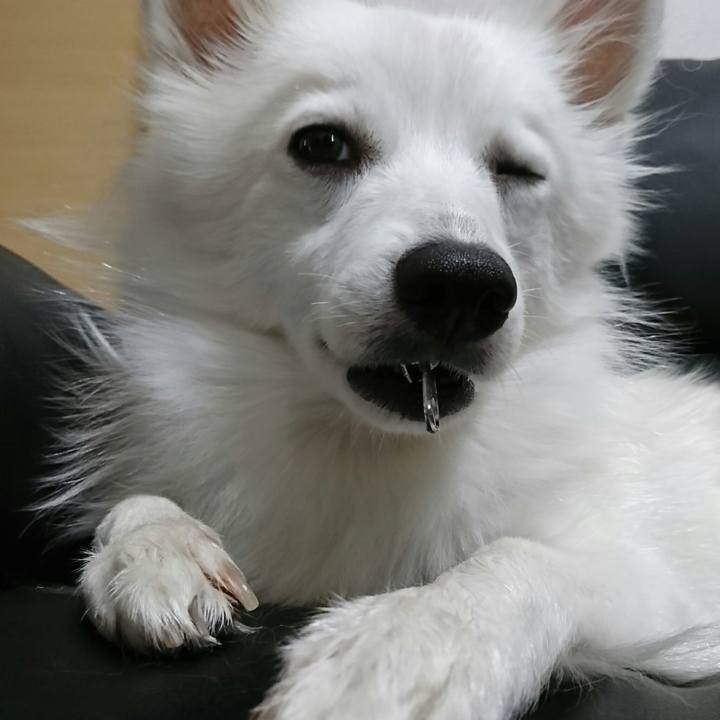 Ab80a816 32fd 488f 915c c51bf9b5be02