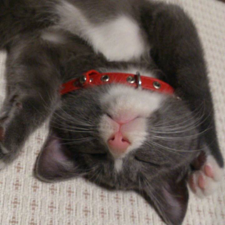 Ab80ec6e 3c15 4594 97ce 087b2c451e18