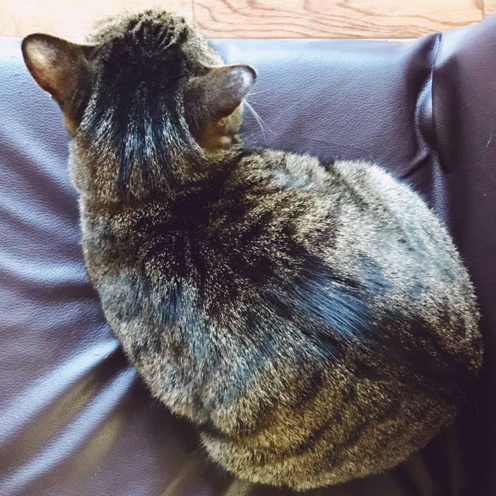 Ab80f80b 5649 4730 b7e8 21aa14af9aad