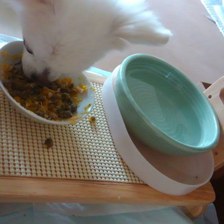 Ab811b8f 9bda 431d 91dd 2a1425a60552