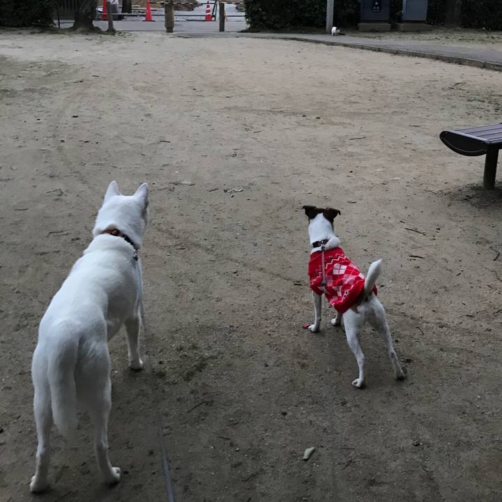 Ab818122 4c89 42f6 9efa c3dd84bd0d67