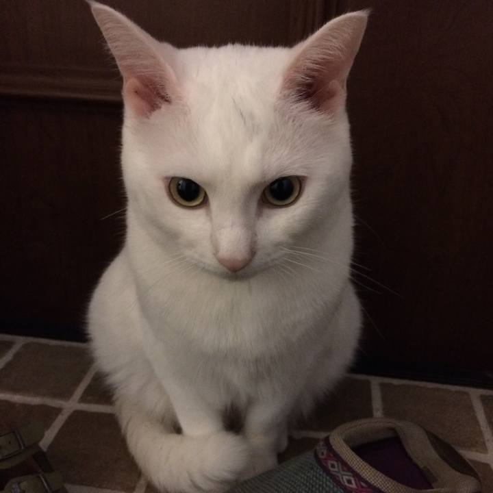 Ab8187b5 5426 4117 b7a9 57d076a33b3d