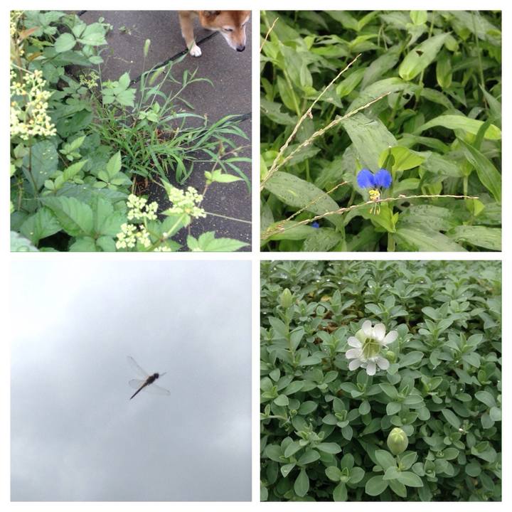 Ab822c1c 6a86 48ad 86fe d84dbc7cdd20