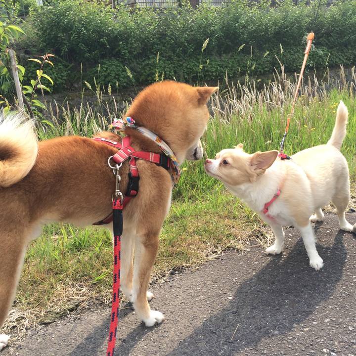 Ab822c74 5cd8 4e3e 922c 2923e3a7c57e