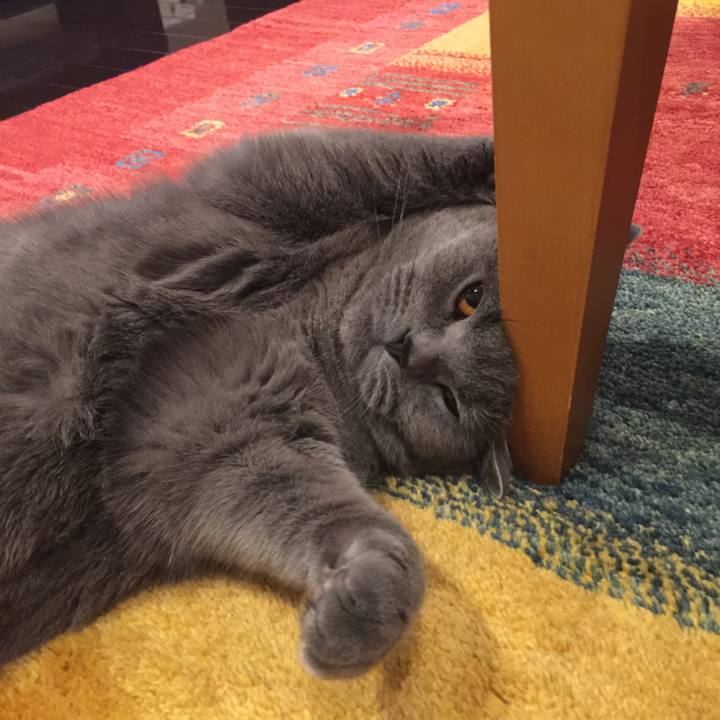 Ab825846 3e2a 4ccc 871f 9db4be335b1d