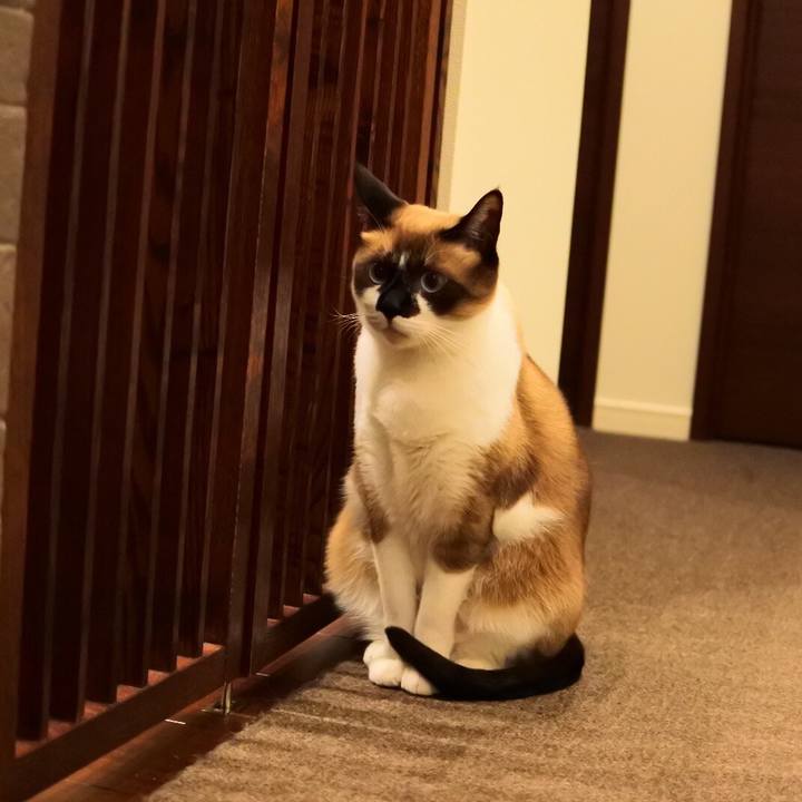 Ab833be9 2667 4cc1 b4ea a70b073bcc29