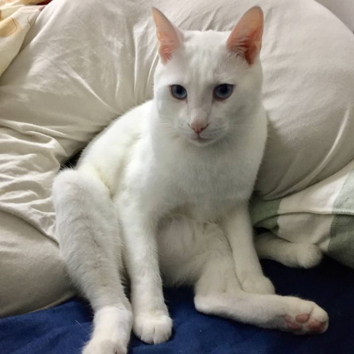 Ab83b0d1 f5e0 49db b906 be9a211fbee4