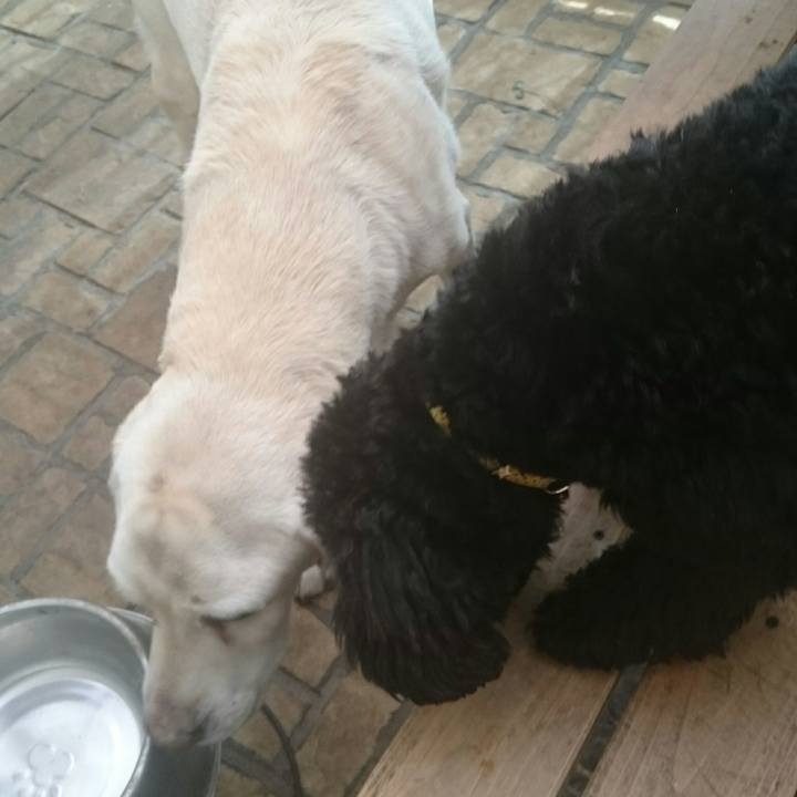 Ab83c60e 0876 4bf8 961f bb8d98a56f3b