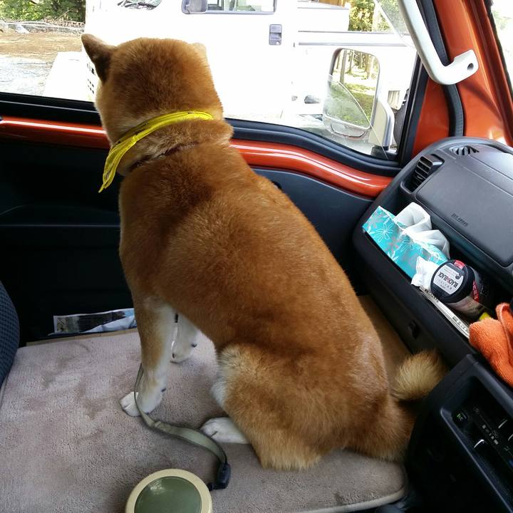 Ab8423f6 caeb 4b68 8805 464df5600b8a