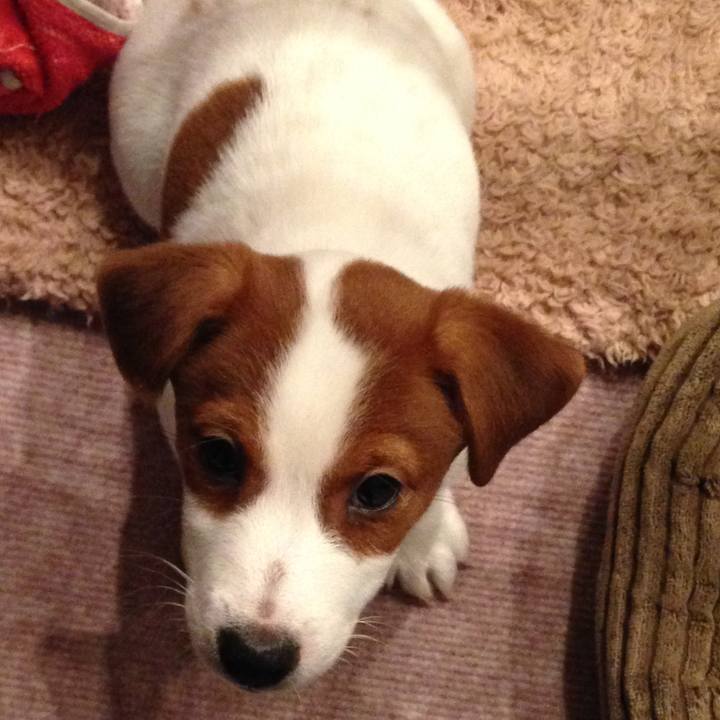 Ab845693 92d3 4b81 90e5 56e2fe0c4a9b