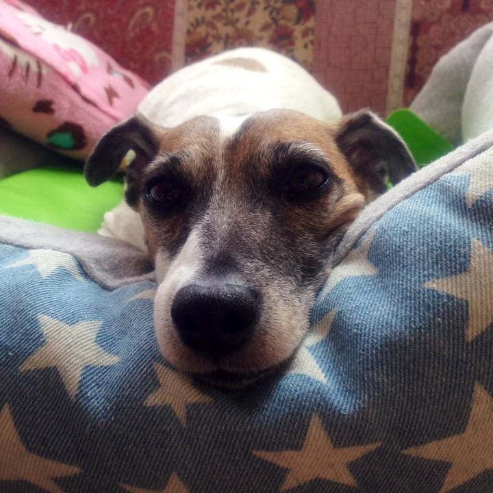 Ab8460be c051 4d39 a7ad 4a3bd55b729b