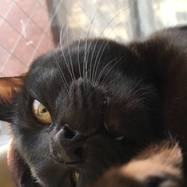 Ab84e98b 3b38 4387 a511 c0a7086f7548