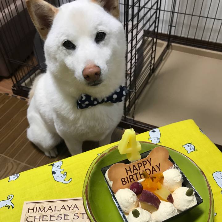 Ab84f76f 9442 43d0 8a3e 8ad460af65a2