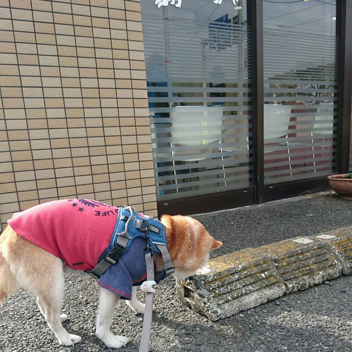 Ab850d67 2d90 4f45 bbfd ca896ccbfbde