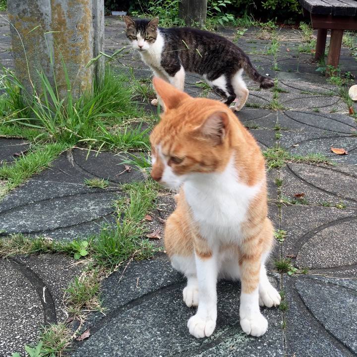 Ab852a4a b4c2 442d 9992 f58c329e80c7