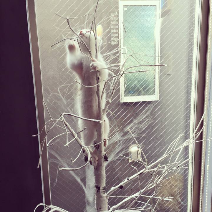 Ab852f23 9147 417d b670 fe36adfea6a3