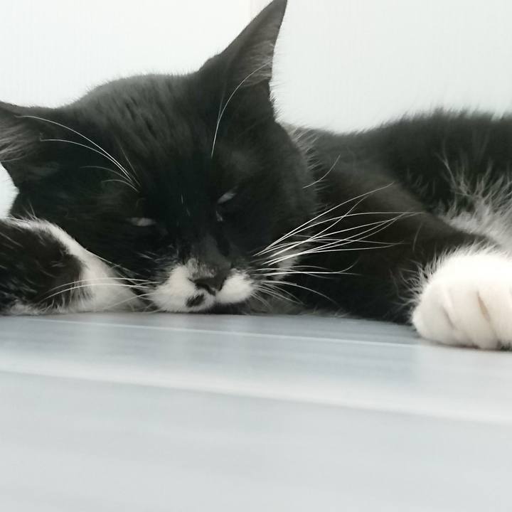 Ab8580ec 3487 4cf5 8ea9 f316e05b81c6