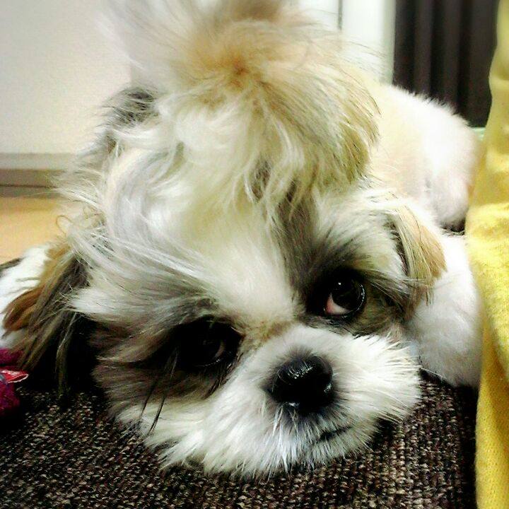 Ab85c0d4 b8fe 46ac acbb 5bbfcfe0a332