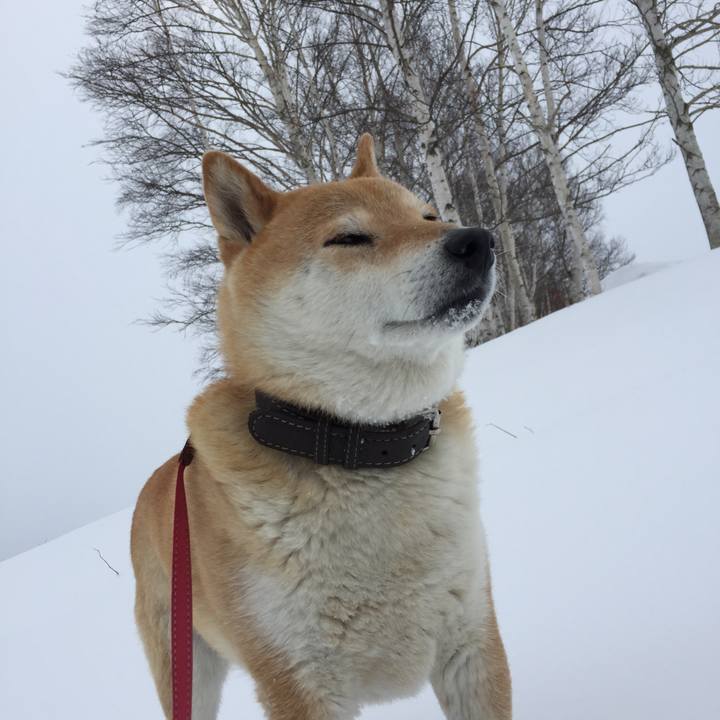 Ab85e9e2 a3cc 4ffa bb6d 881788ed2bc9