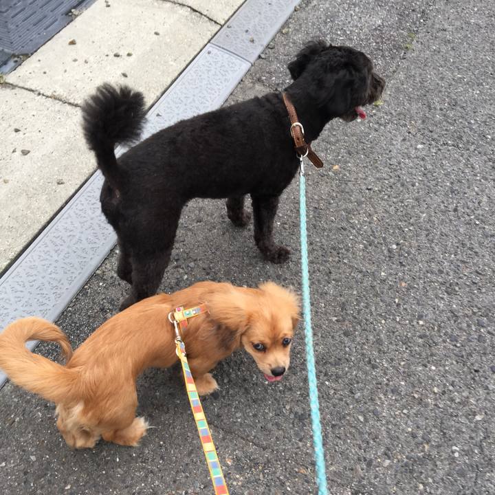 Ab861a0f afe6 4575 9f37 40923dfab765