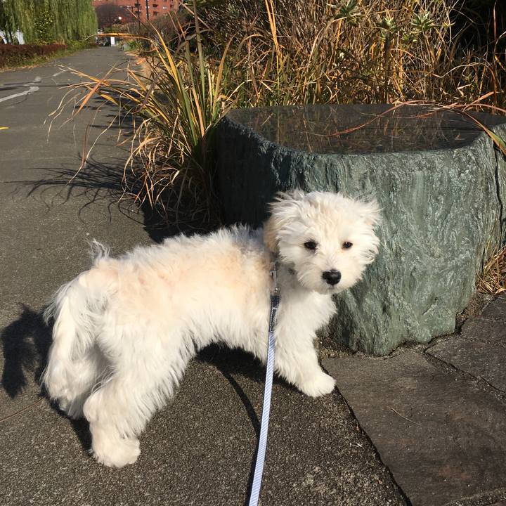 Ab8661af ef37 40fb 98ce cb5119396931