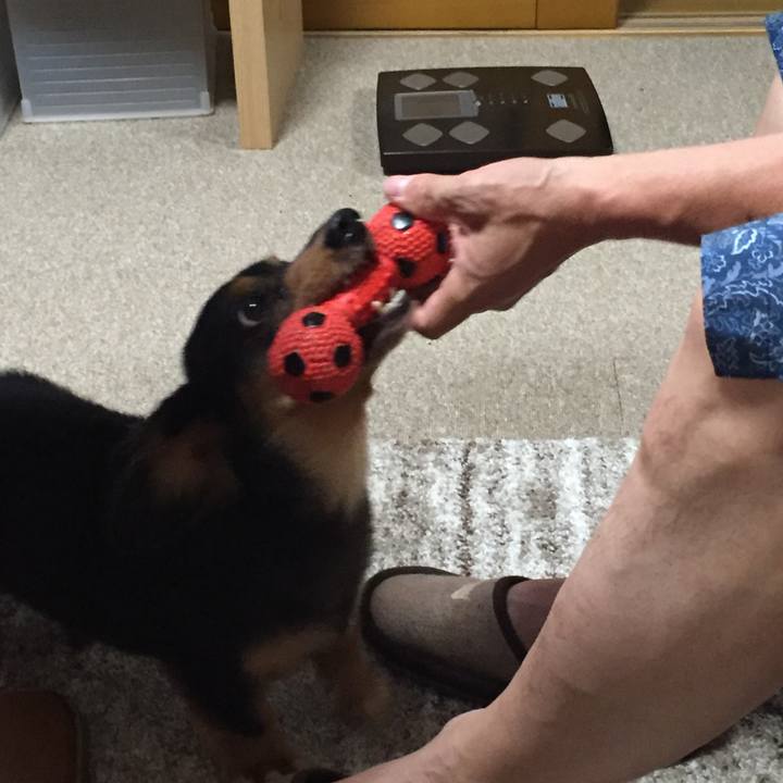 Ab870856 b200 47a3 974a 8da9685e62ad