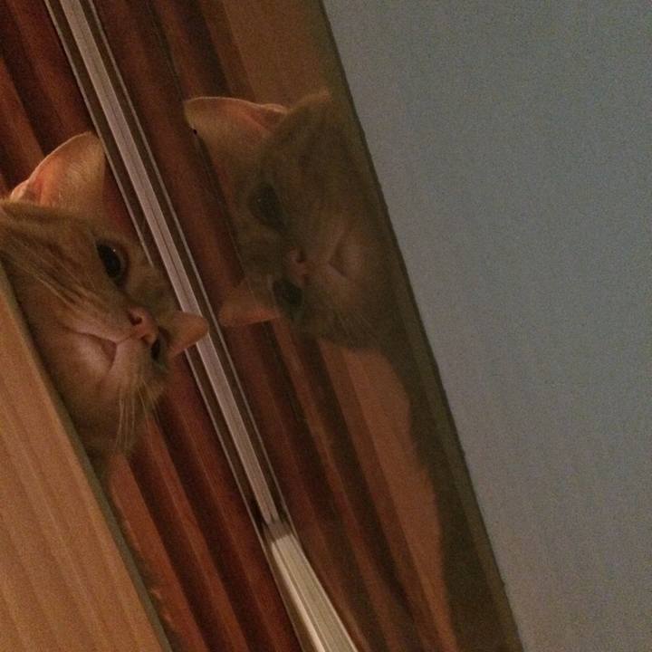 Ab874316 6f1e 4d23 bc1a e10288932ccc