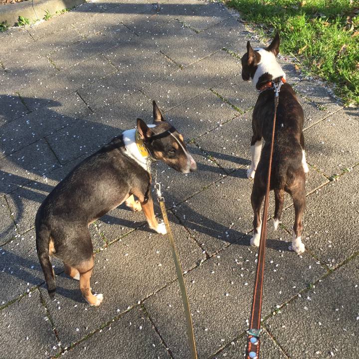 Ab878750 2614 4698 a85c 1a53c16fe739