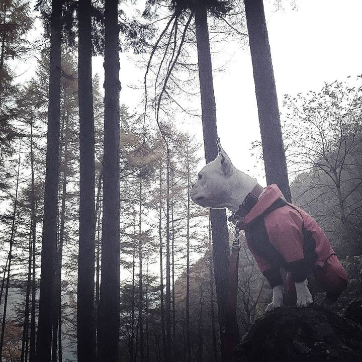 Ab87fcef e17b 498d b084 f7bb2761d89e