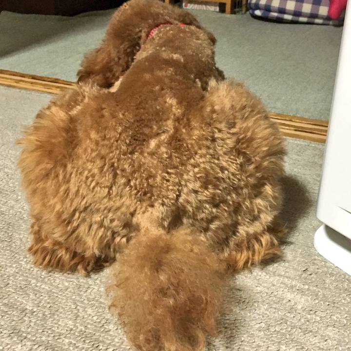 Ab888424 9e65 4891 8d37 0502e99abf42