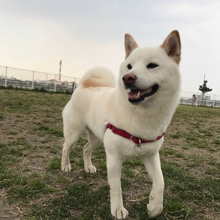 Ab88b98c a1a8 4355 b37f 3c50af45bf83