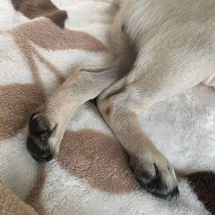 Ab8942ff f636 4a7d b4c7 7c5f48f8deb6